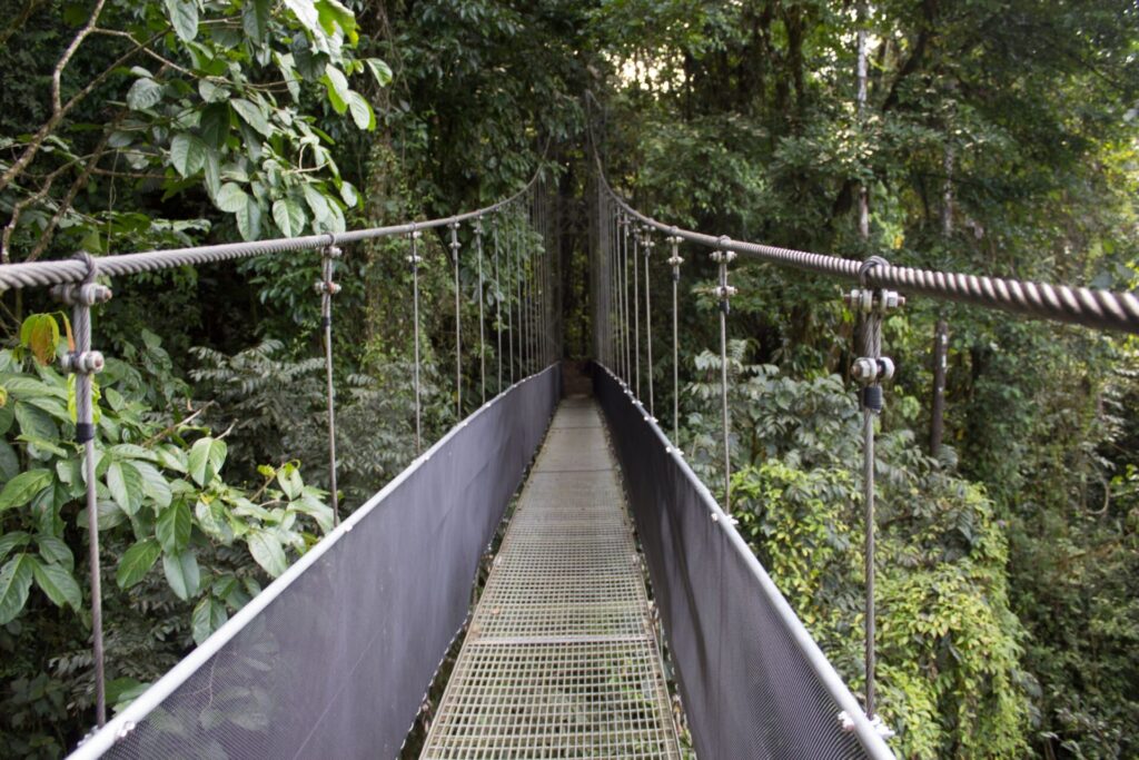 コスタリカの国立公園内の緑の橋